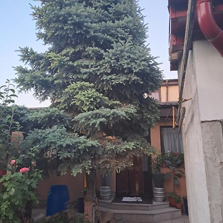 דירות Galaţi Casa Rusu מראה חיצוני תמונה